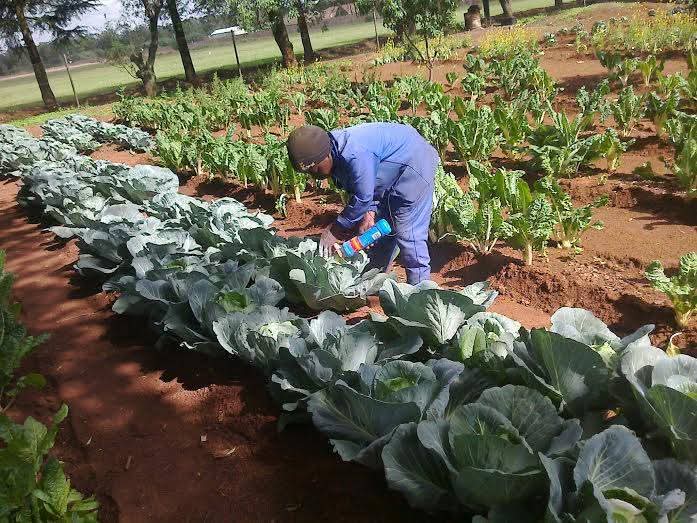Agriculture Training
